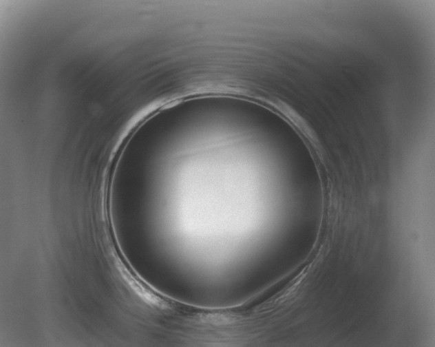 X0000081371246200701182130