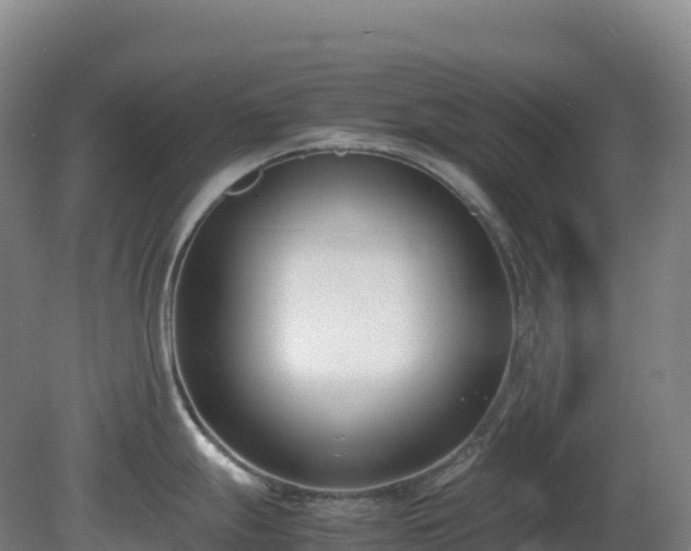 X0000081371247200701182130
