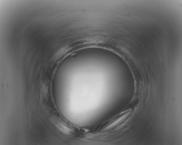 X0000081371257200701182130