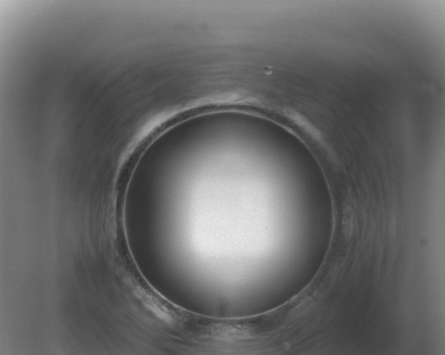 X0000081371270200701182129