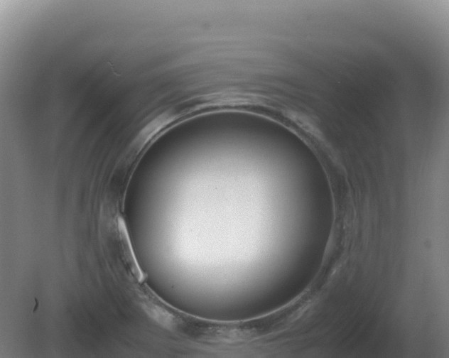 X0000081371273200701182129