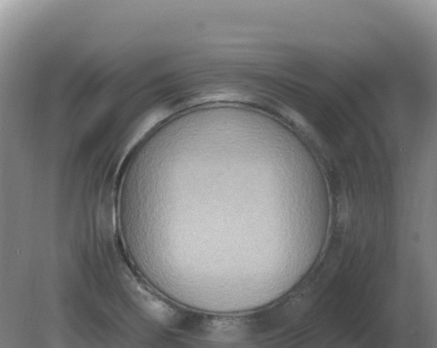 X0000081371274200701182129