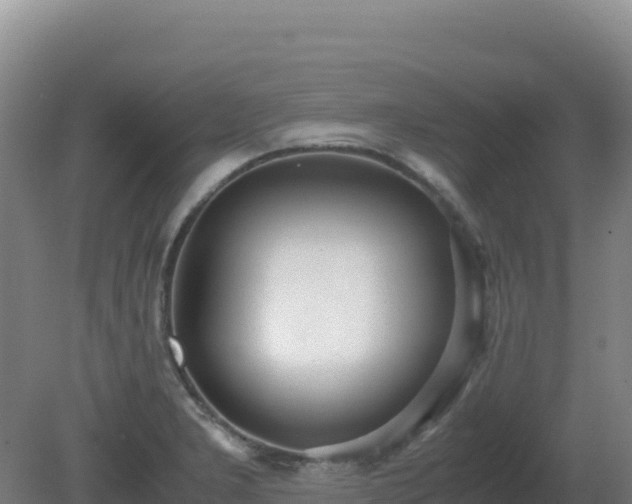 X0000081371277200701182129