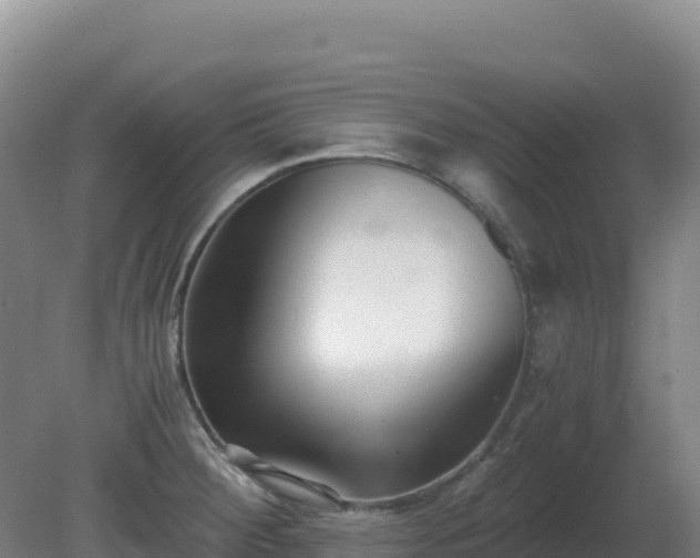 X0000081371284200701182129