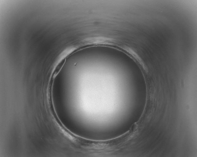 X0000081371285200701182129