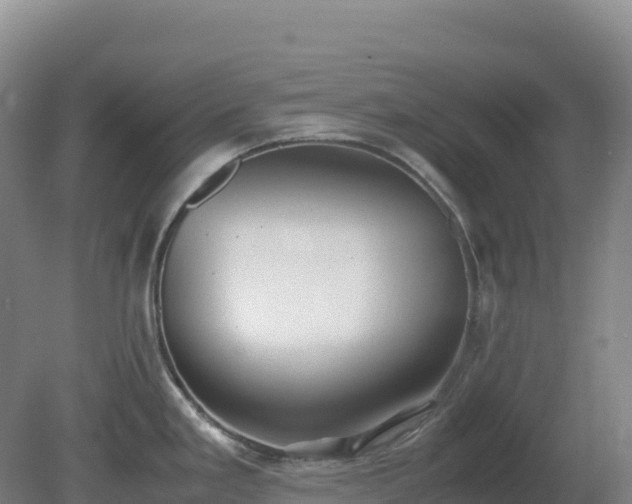 X0000081371293200701182129