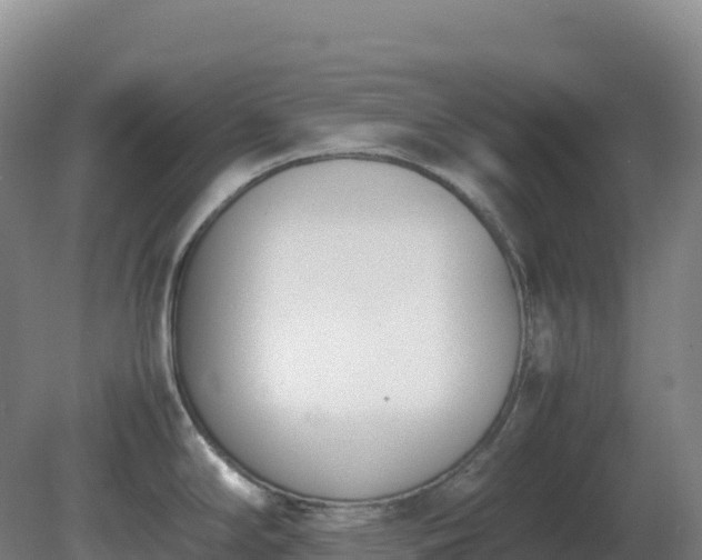 X0000081371294200701182129