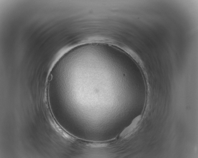 X0000081371296200701182129