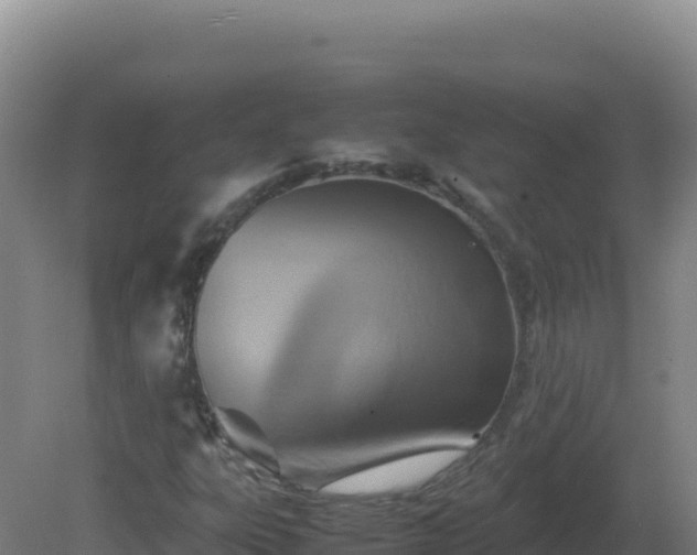 X0000081371303200701182128
