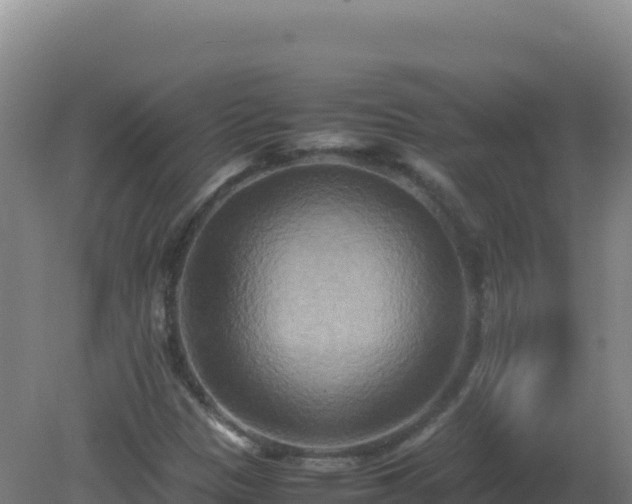 X0000081371305200701182128
