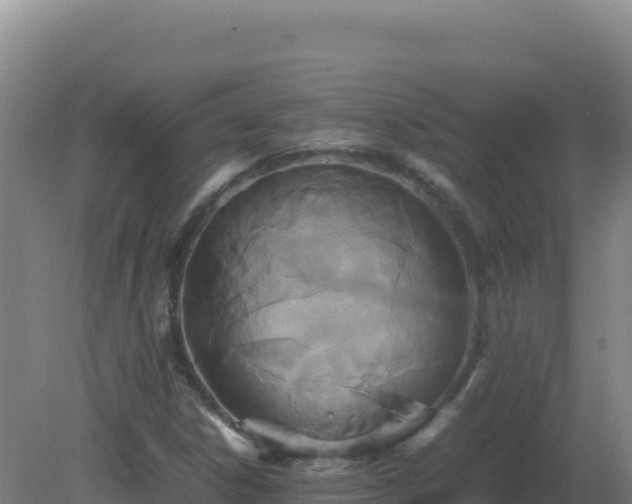 X0000081371306200701182128