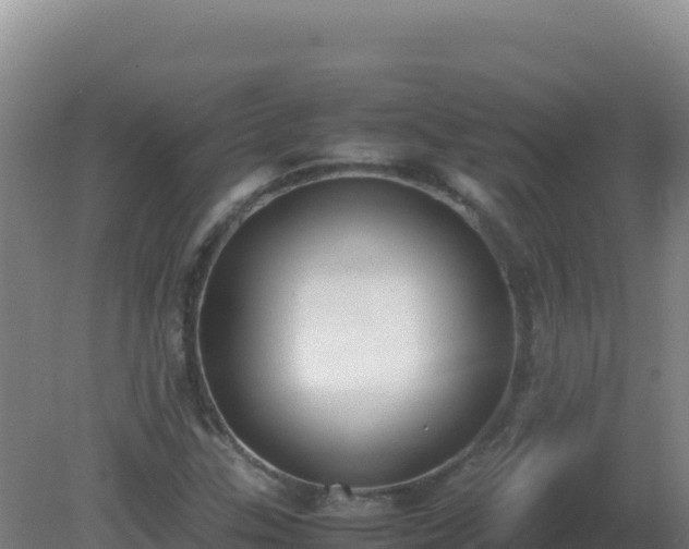 X0000081371307200701182128