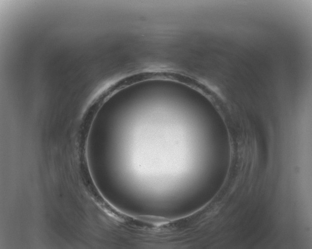 X0000081371311200701182128