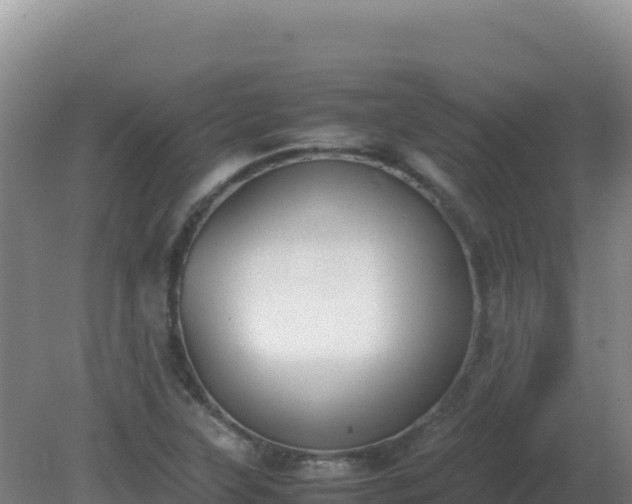 X0000081371315200701182128