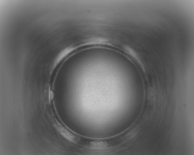 X0000081371320200701182128