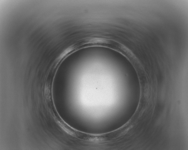 X0000081371321200701182128