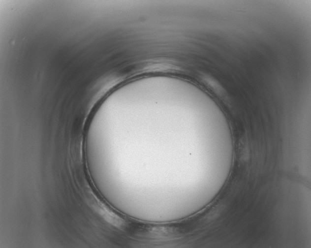 X0000081371322200701182129