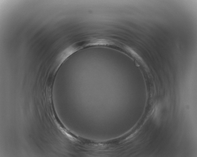X0000081371329200701182129