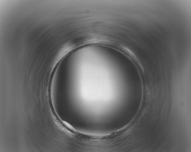 X0000081371330200701182129