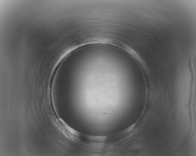 X0000081371332200701182129