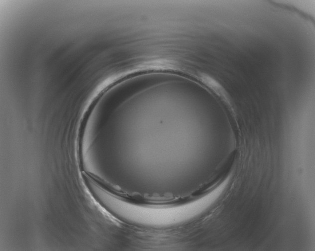 X0000081371334200701182129