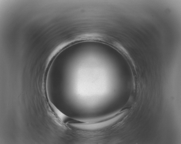X0000081371336200701182129