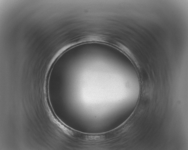 X0000081371339200701182129