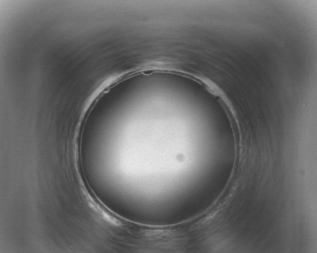 X0000081371341200701182129