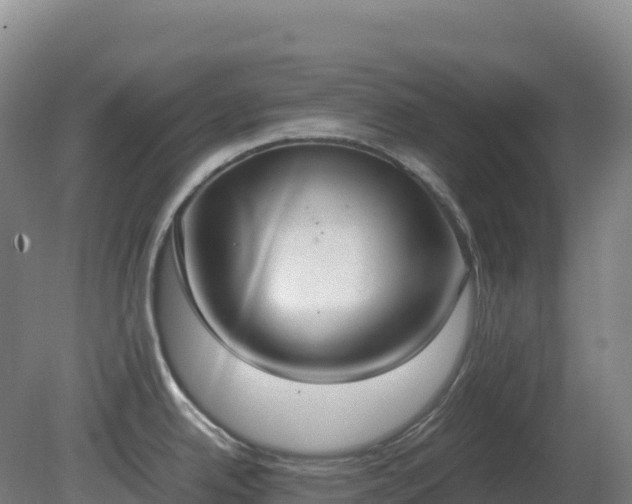 X0000081371342200701182129
