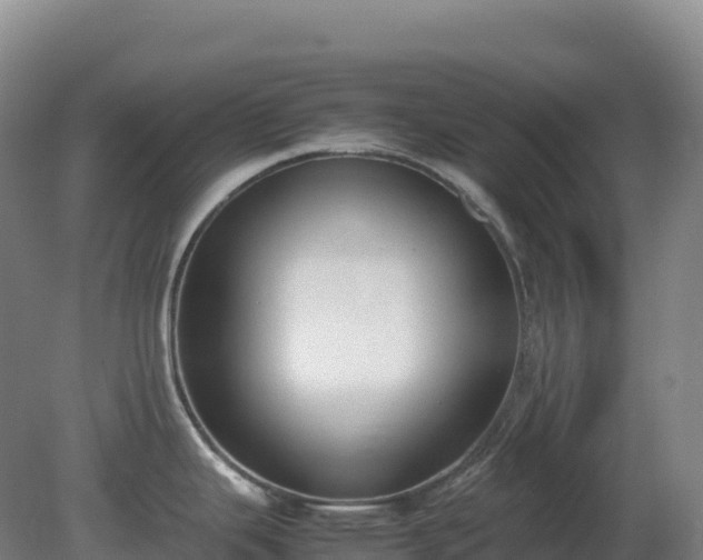 X0000081371343200701182129