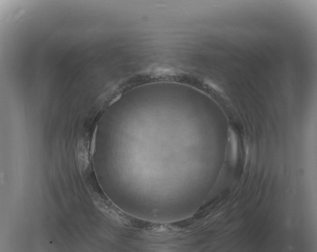 X0000081371348200701182128