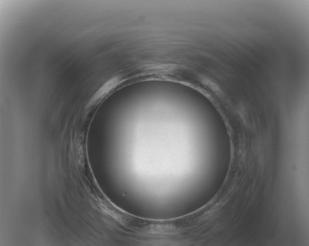 X0000081371354200701182128