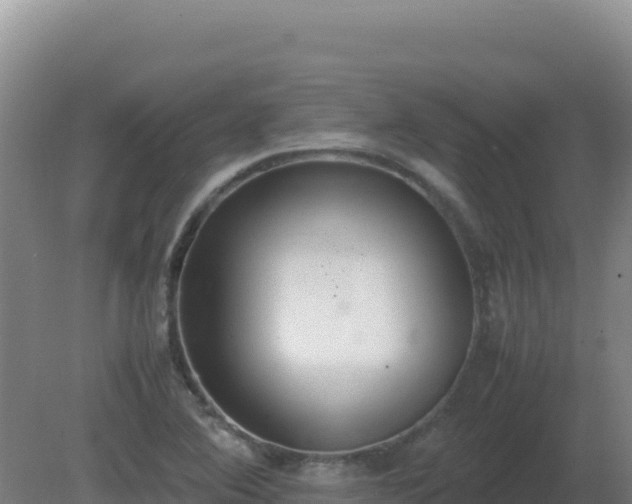 X0000081371364200701182128