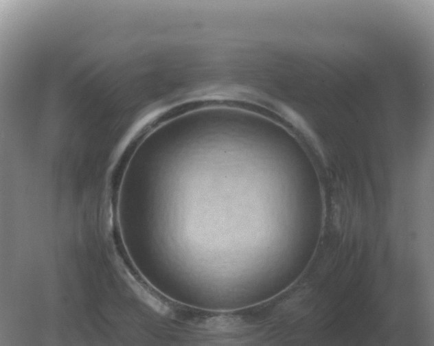 X0000081371368200701182128