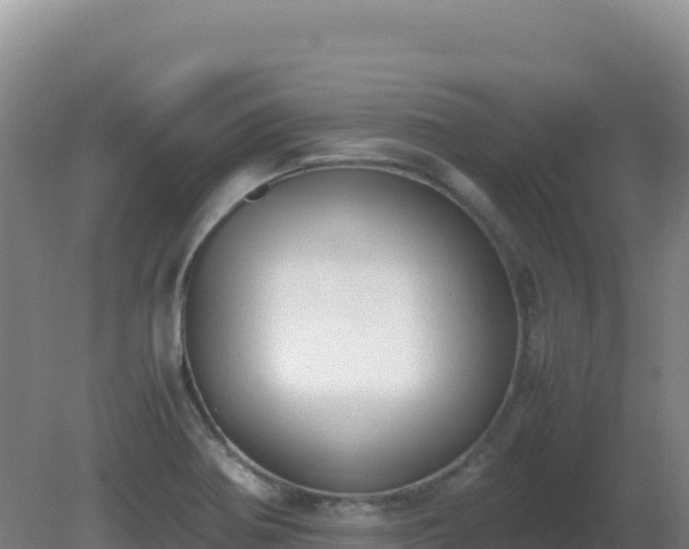X0000081371370200701182128