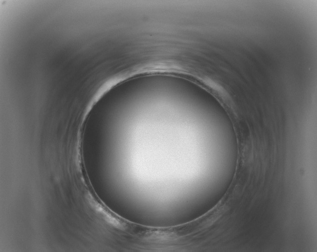 X0000081371374200701182128