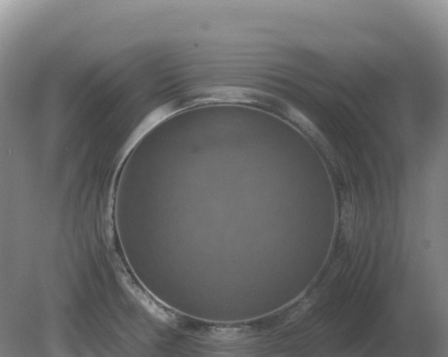 X0000081371378200701182128