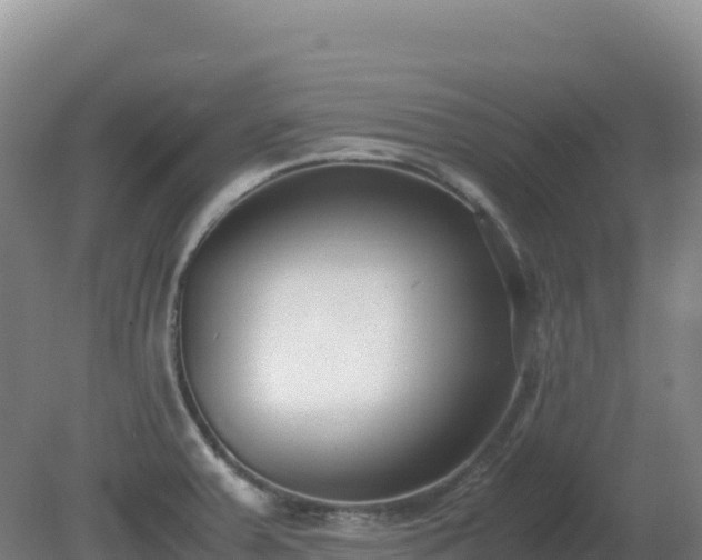 X0000081371379200701182127
