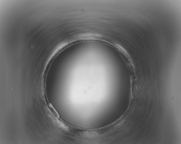 X0000081371384200701182127