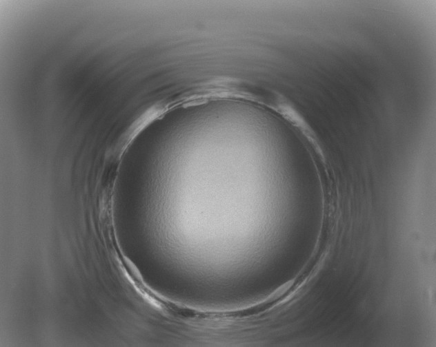 X0000081371385200701182127