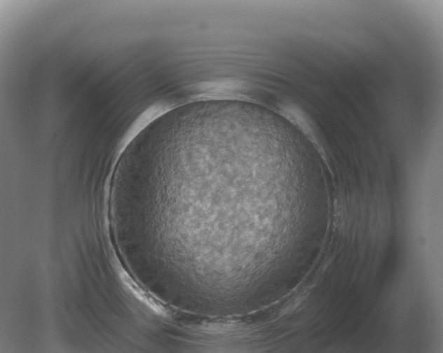 X0000081371386200701182127