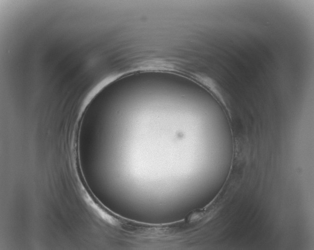 X0000081371387200701182127