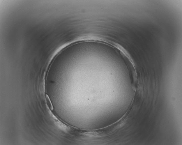 X0000081371388200701182127