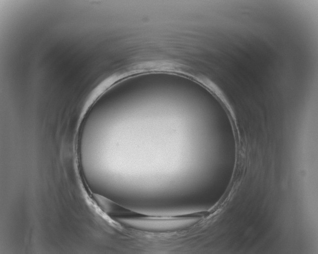 X0000081371389200701182127