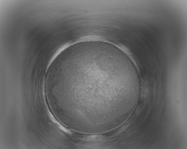 X0000081371390200701182127