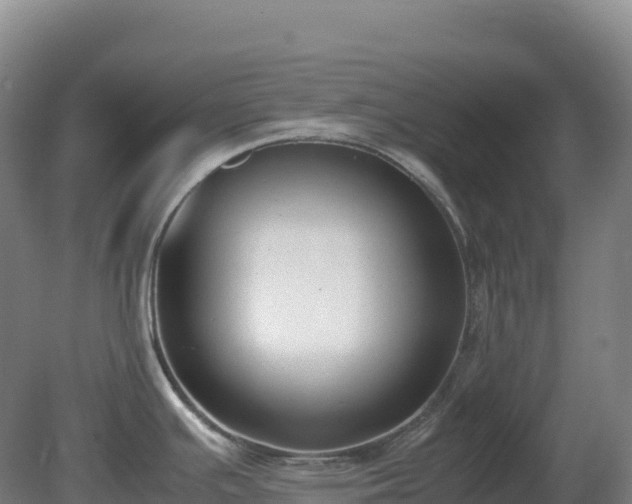 X0000081371391200701182127