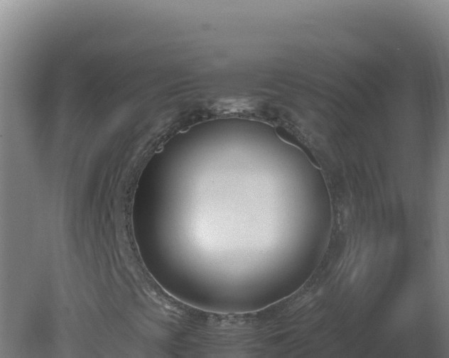 X0000081371393200701182126