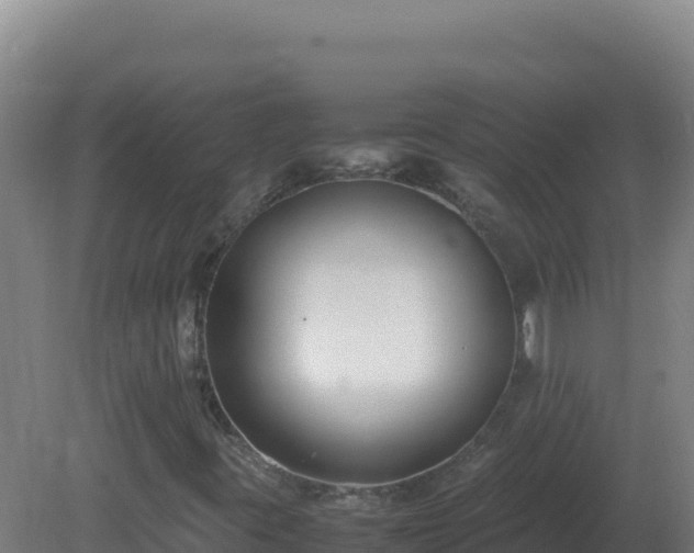 X0000081371395200701182127