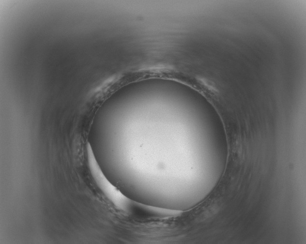 X0000081371398200701182127
