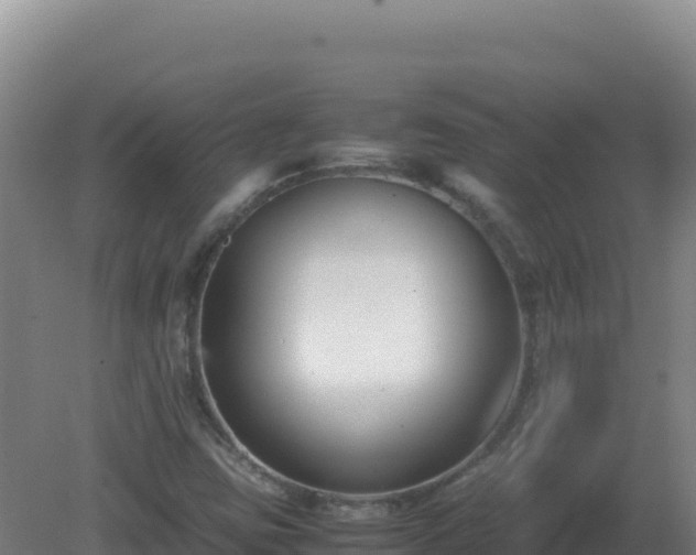 X0000081371403200701182127